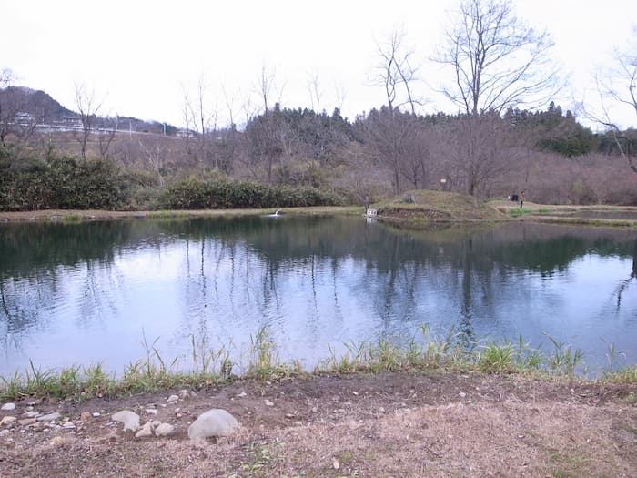 第2ポンドの全景