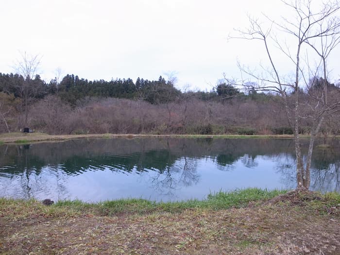 第3ポンドの全景